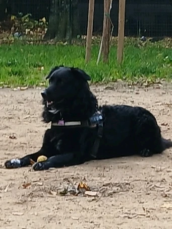 GIF caricata da Neri