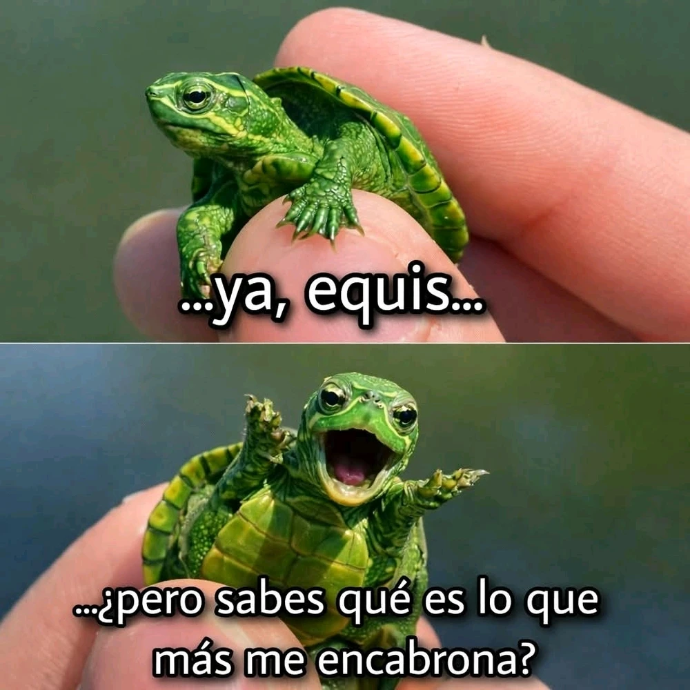 GIF subido por Rodrigo