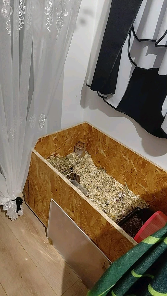 Image uploaded by Sandra