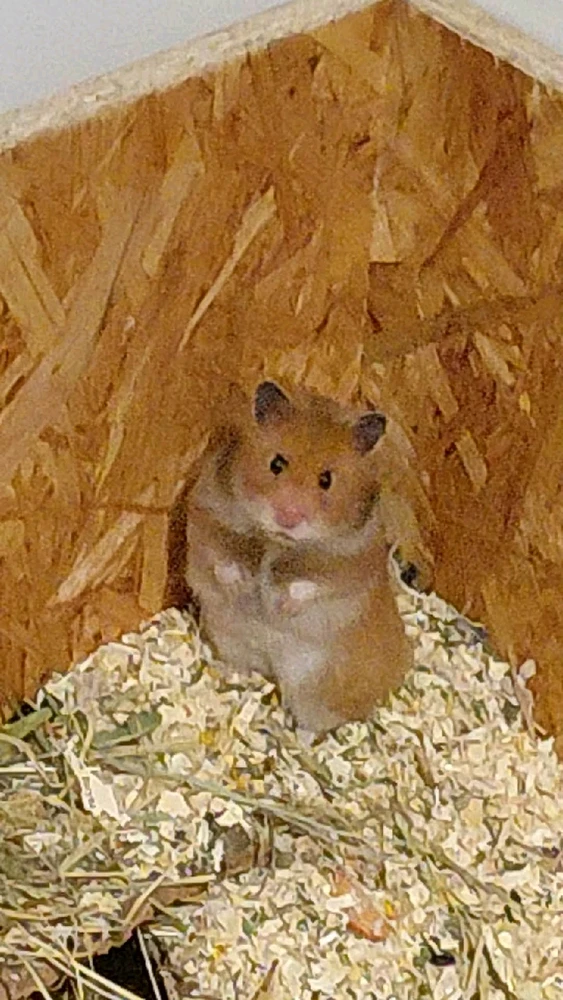 Image uploaded by Sandra