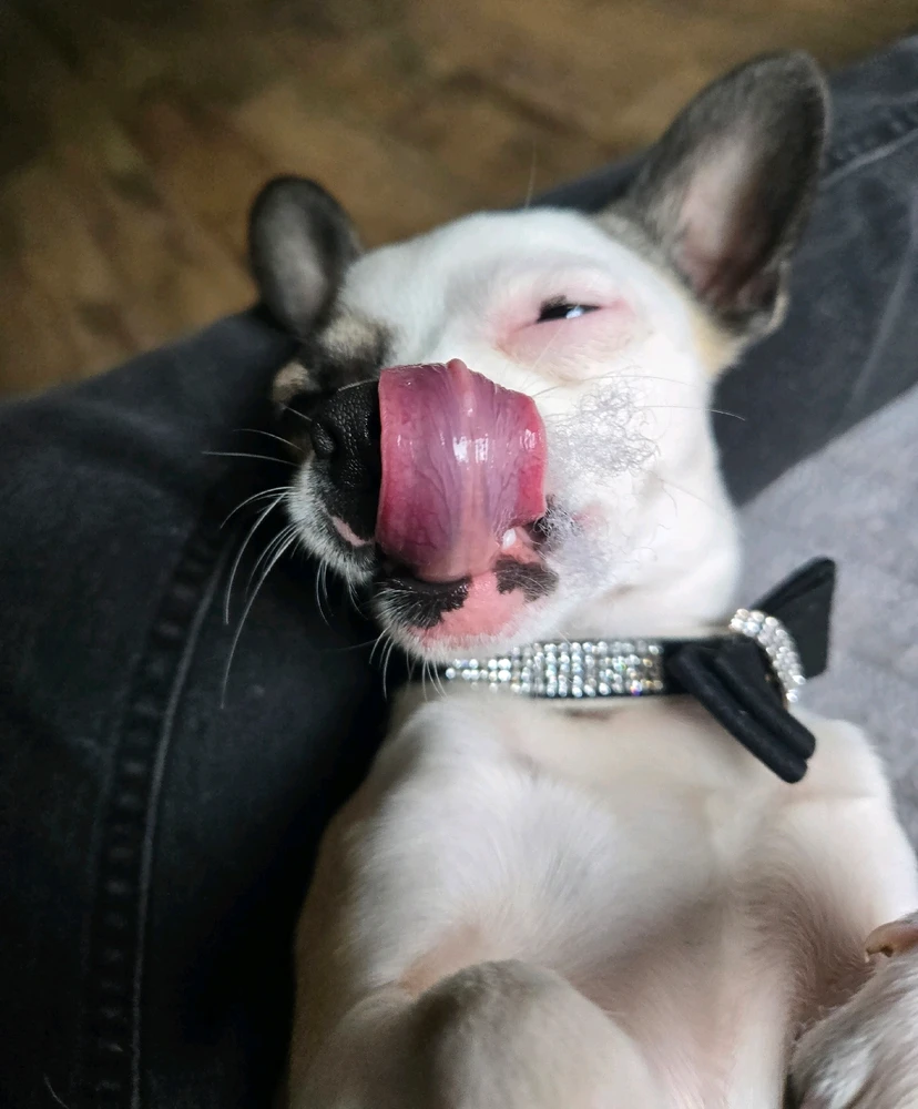 GIF uploaded by gabriella