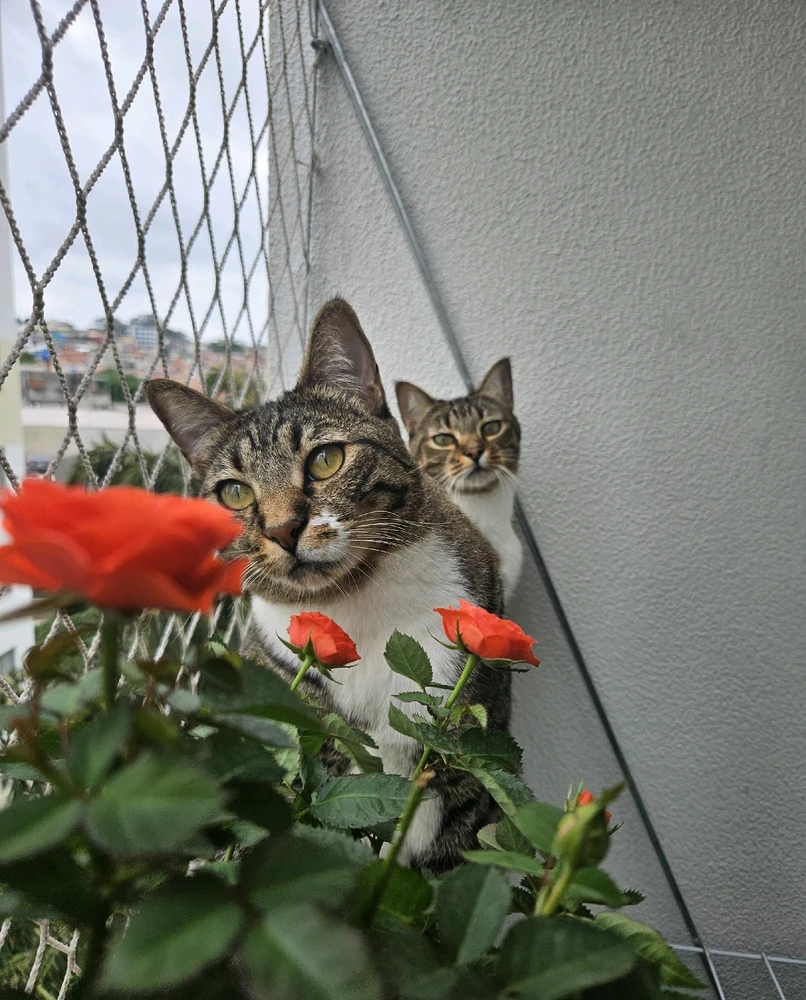 GIF uploaded by Stefani