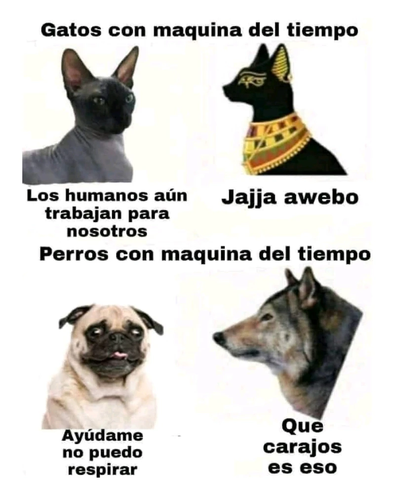 GIF subido por William