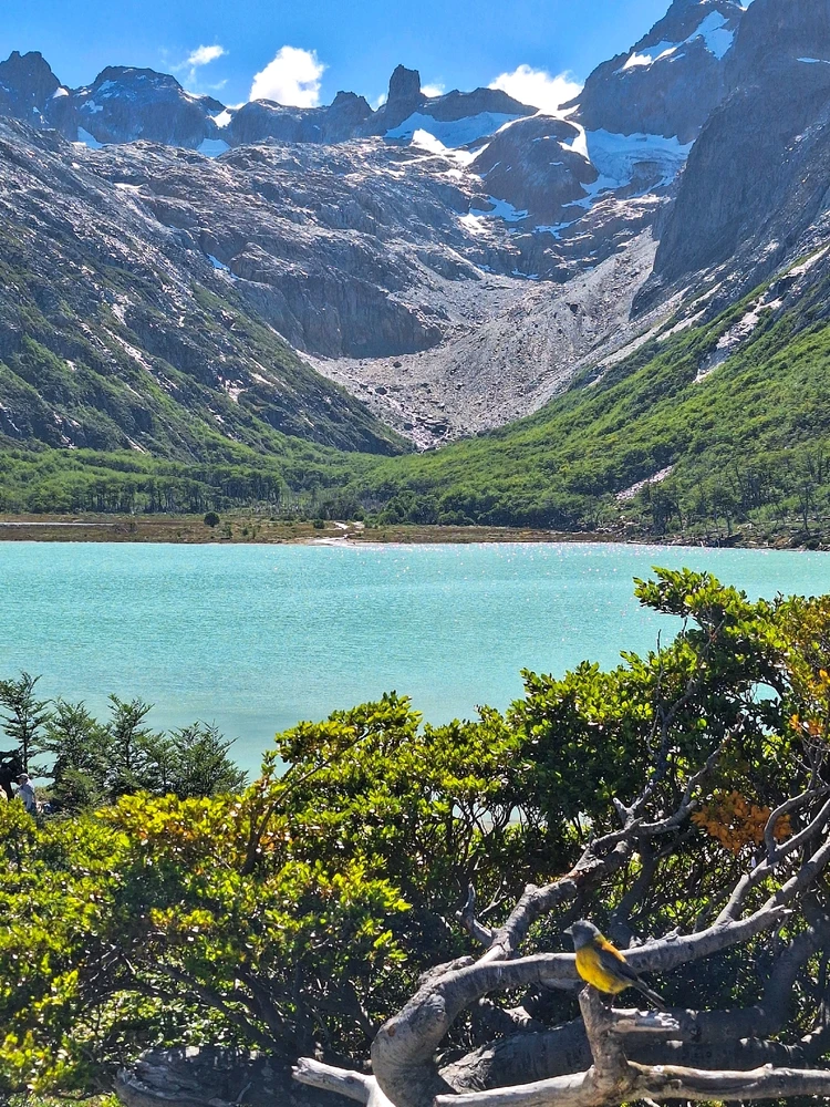 Imagen subida por Lautaro