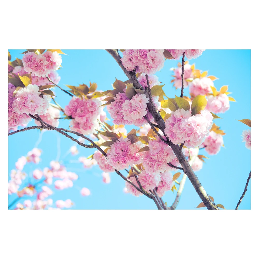 Image ajoutée par Stef