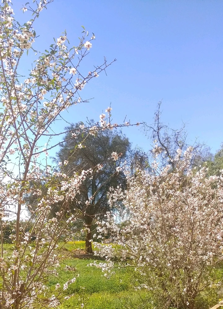 GIF uploaded by Iheb