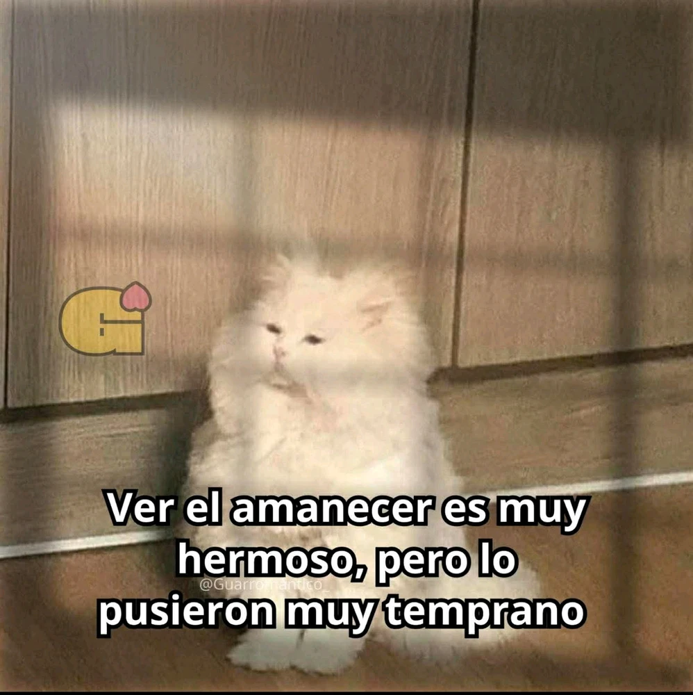 GIF subido por Mayte