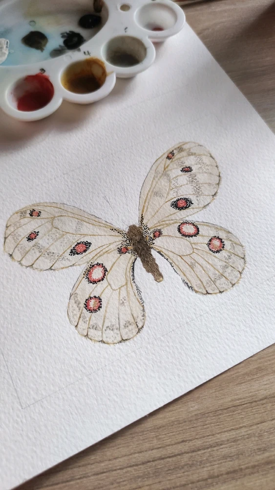 GIF uploaded by Pinina