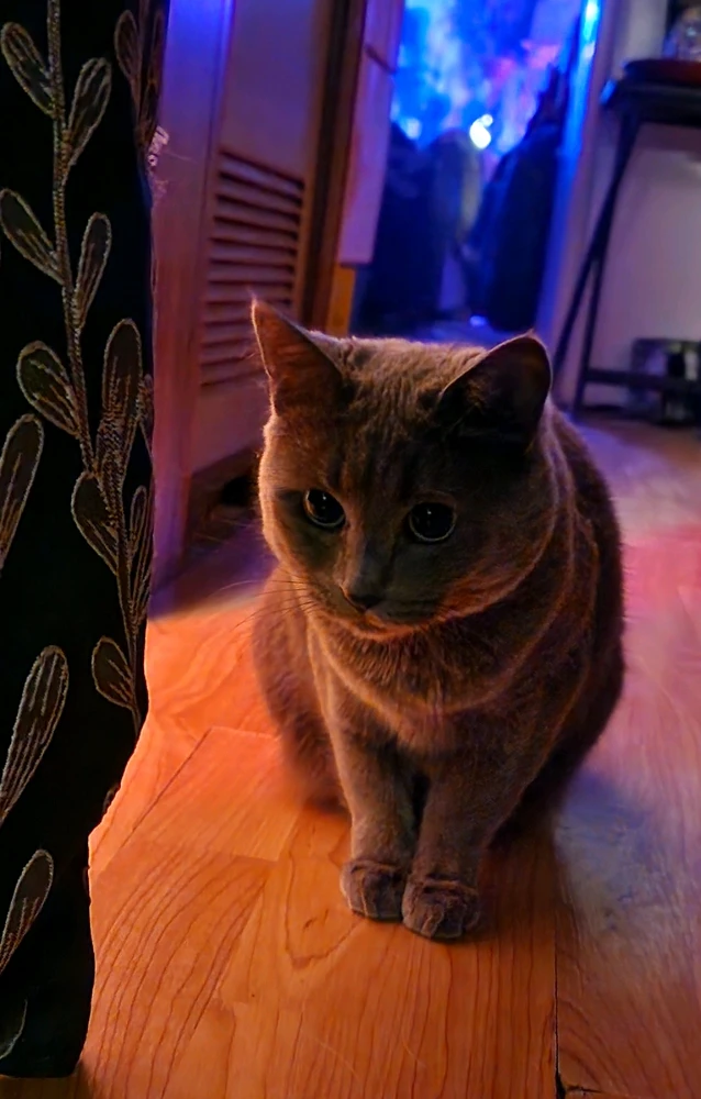 GIF uploaded by Dale