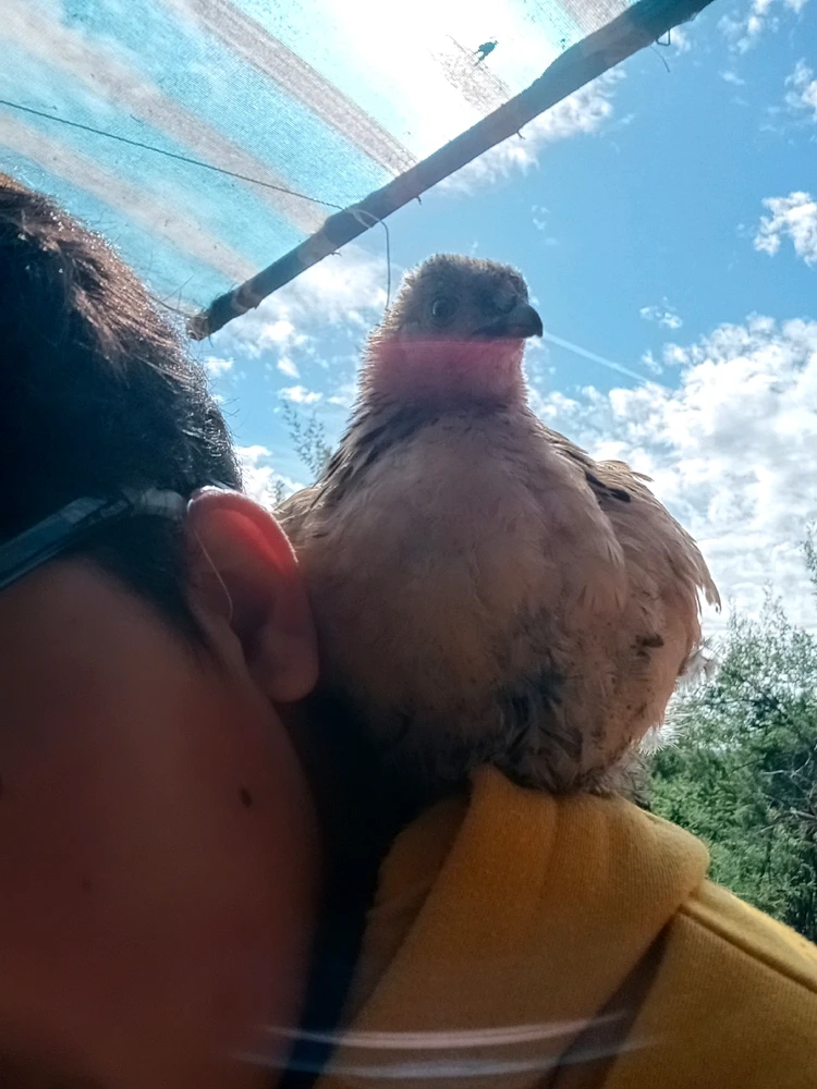 Imagen subida por Alejandro