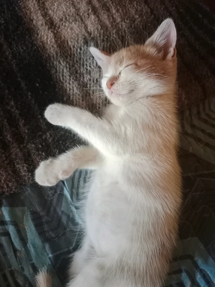 Imagen subida por Alejandro