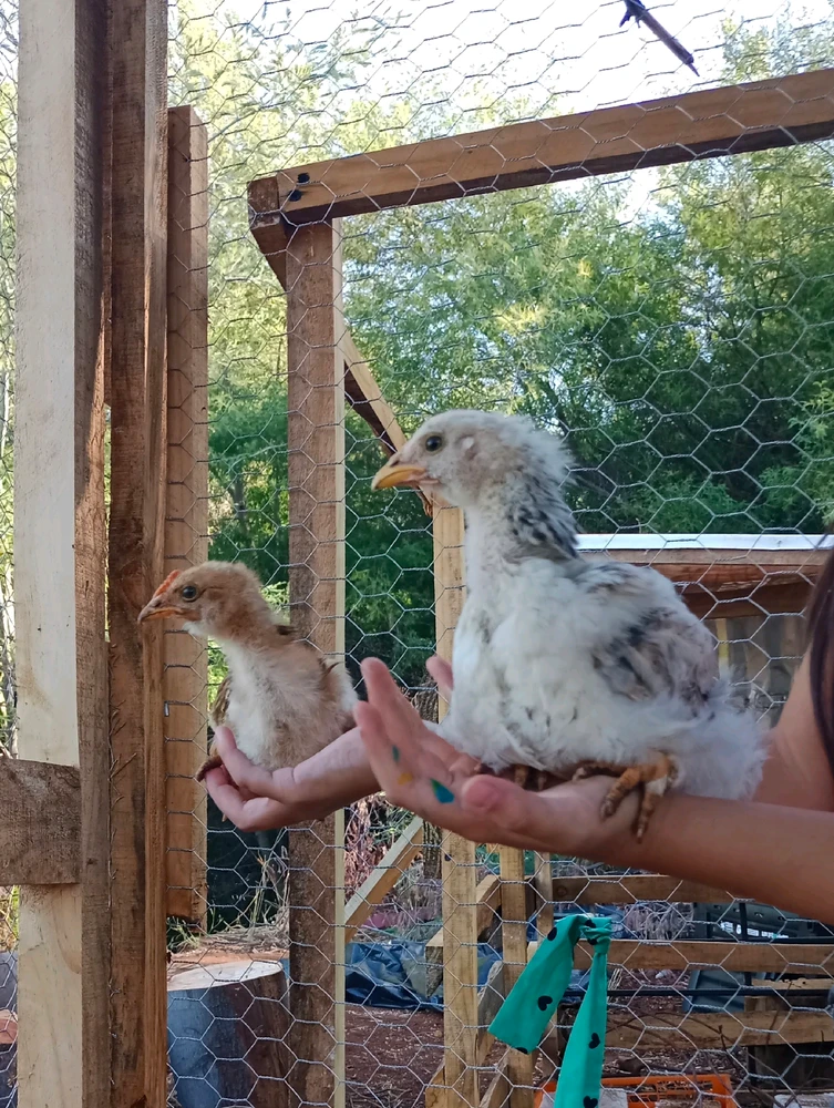 Imagen subida por Alejandro