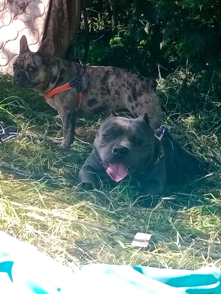 Imagen subida por Alejandro