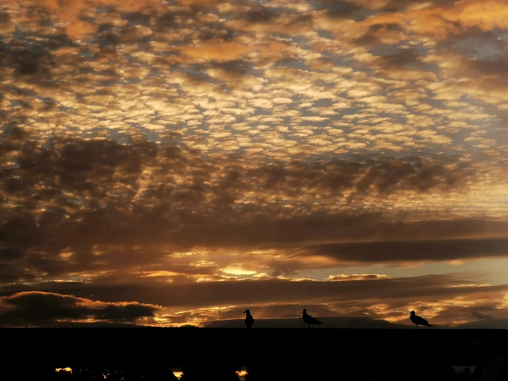 GIF subido por Cristian