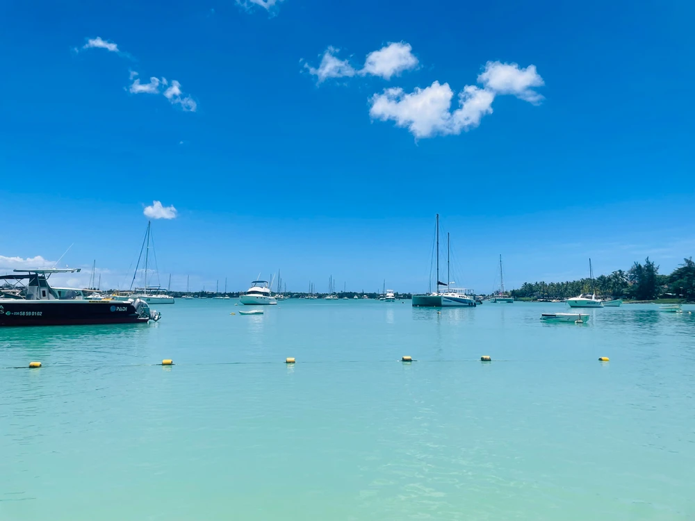 GIF ajouté par Djen Z