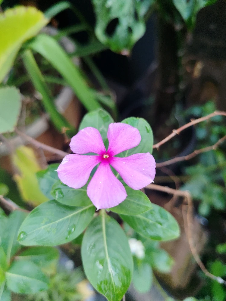 Image uploaded by sebastian