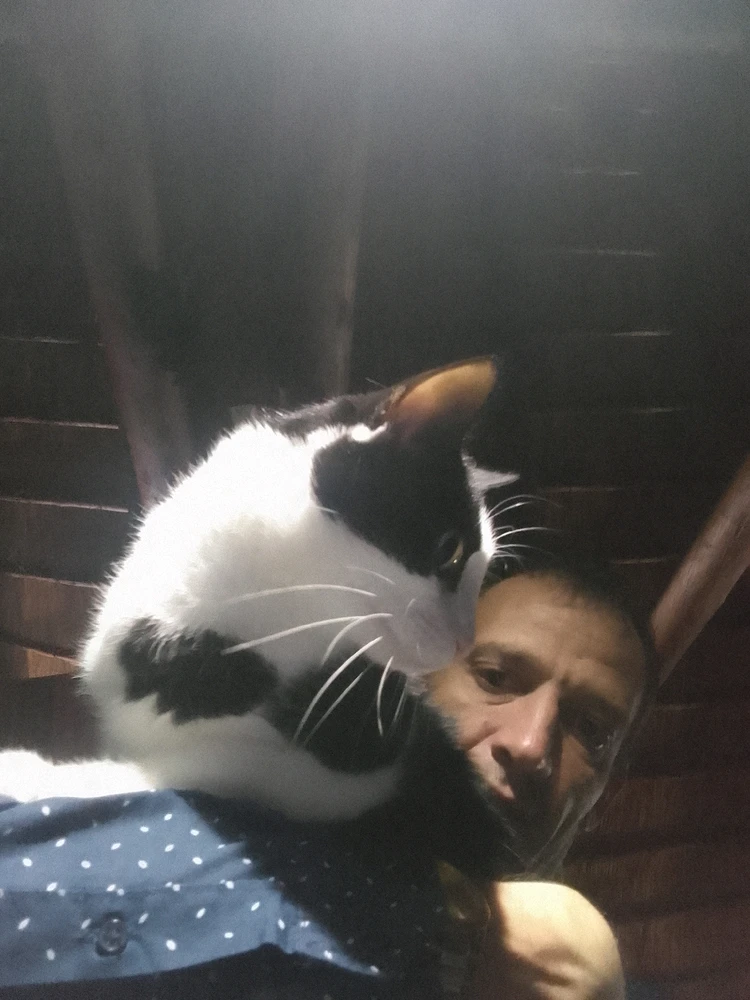 Image uploaded by EyeShift