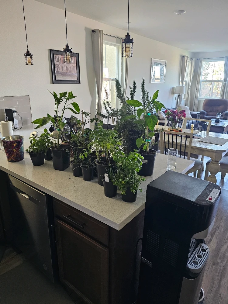 Image uploaded by AJ