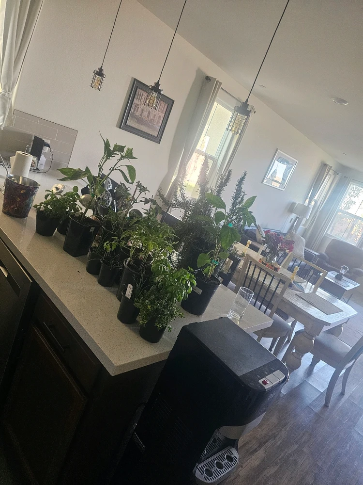 Image uploaded by AJ