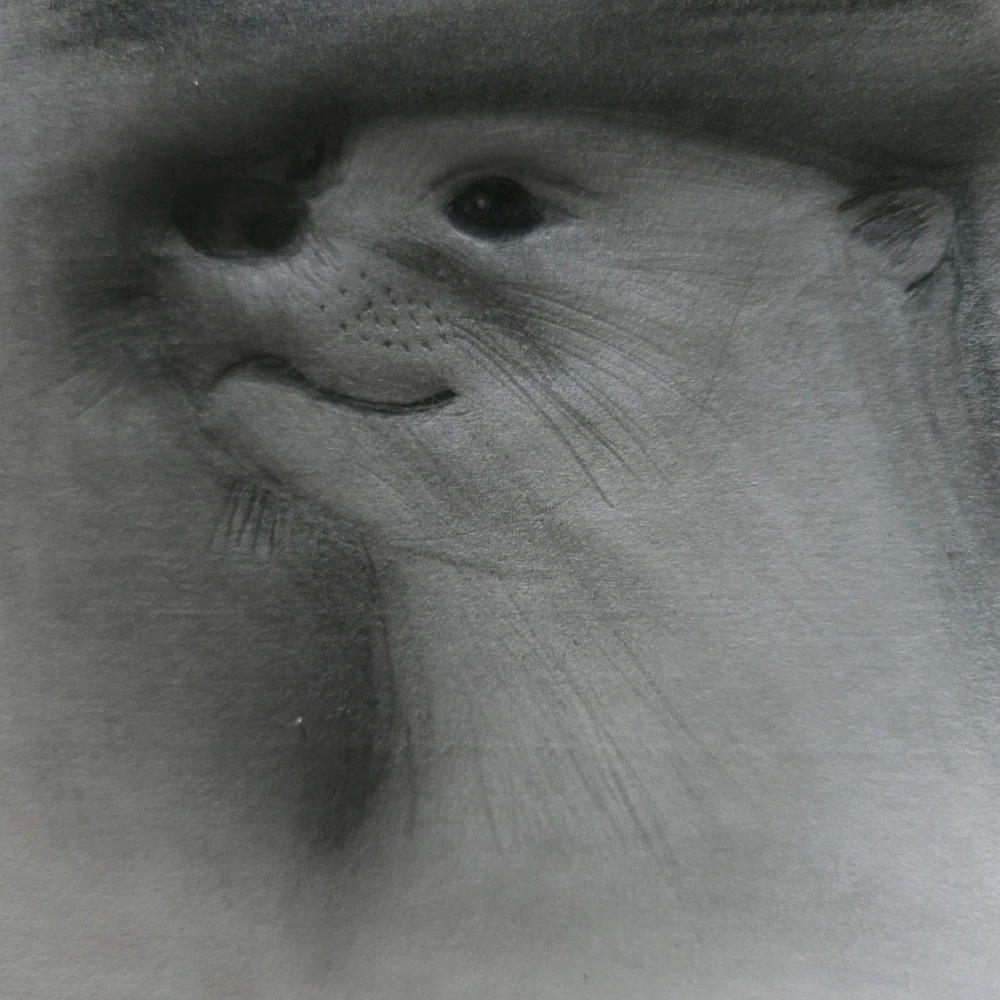 GIF subido por Mario