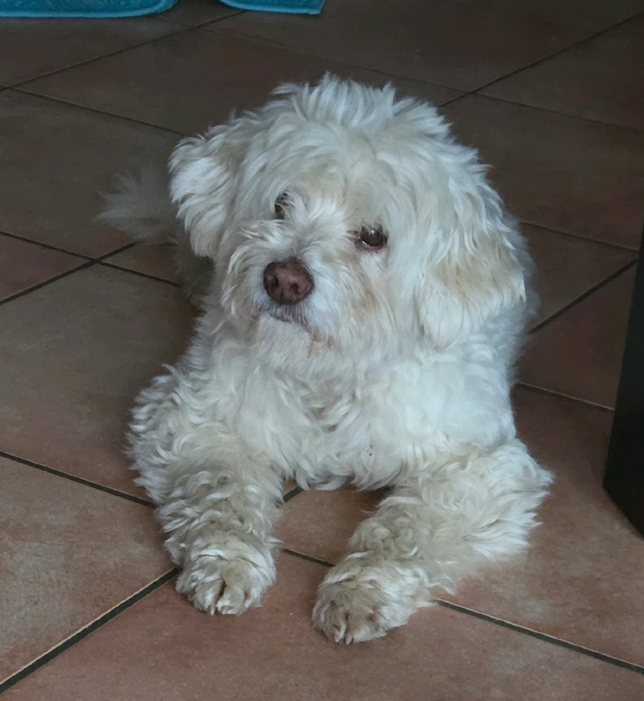 GIF caricata da Nicola