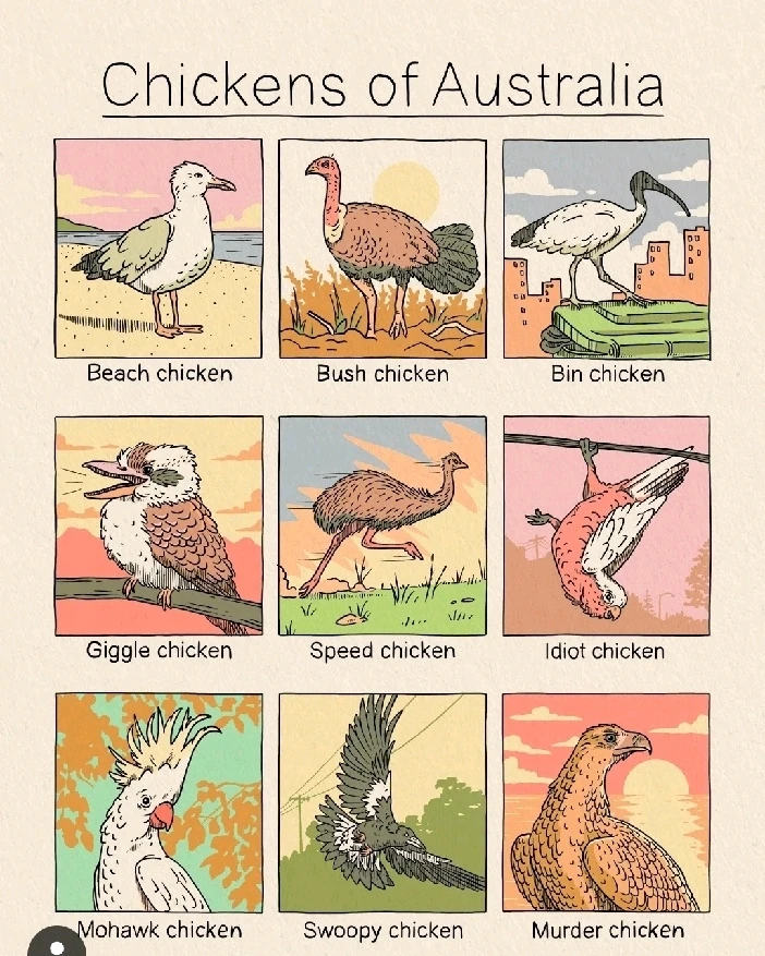 GIF hochgeladen von Osthexe