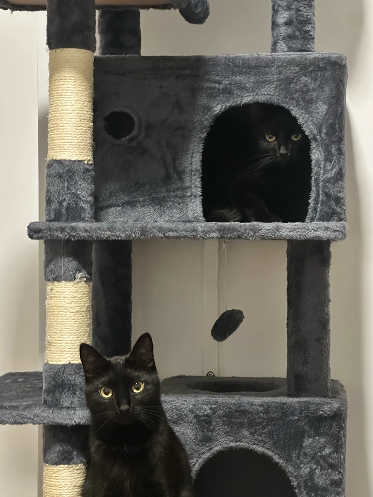 GIF uploaded by Máté