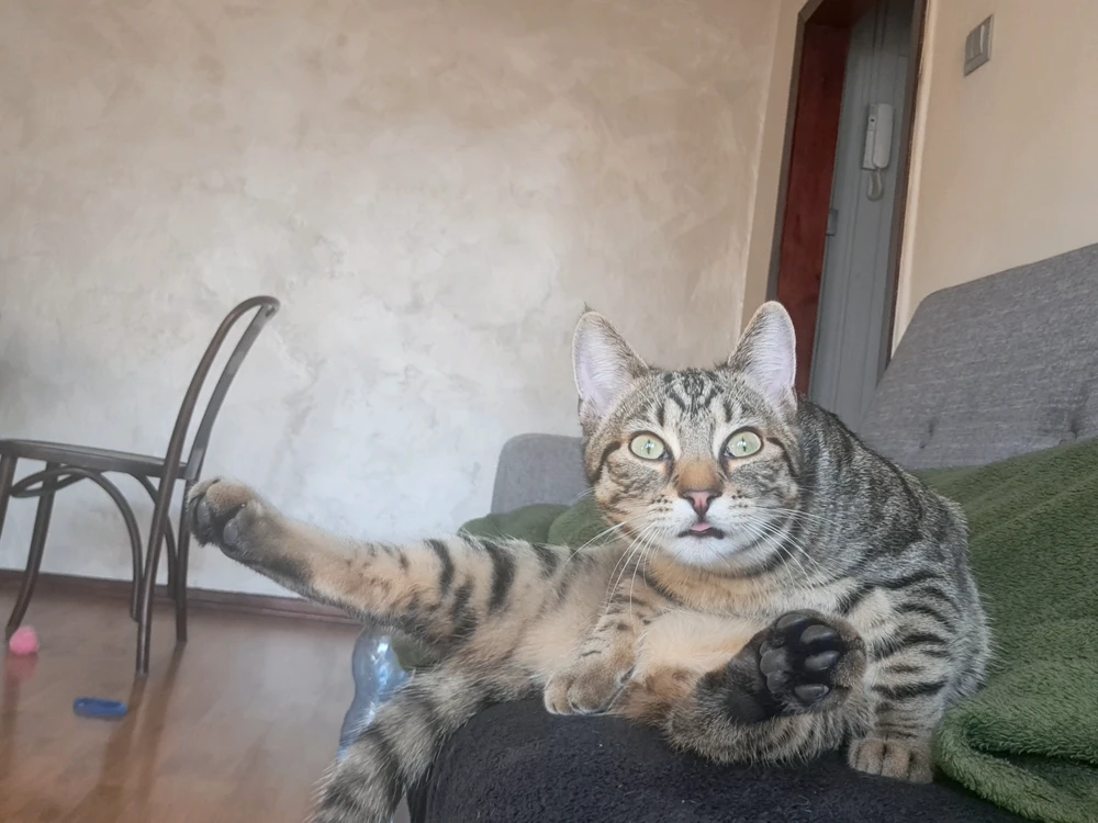 GIF dodany przez Lena