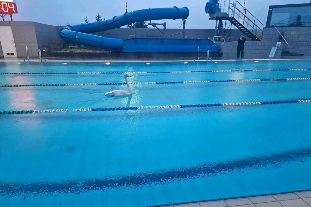 GIF uploaded by Soulful