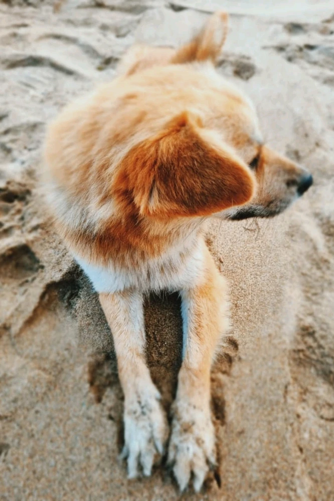 Image uploaded by 𝓢𝓮𝓻𝓮𝓷 • 𝓢𝓮𝓻𝓮𝓷𝓭𝓲𝓹𝓲𝓽𝔂