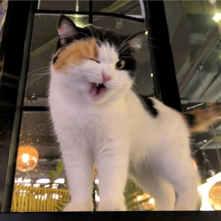 GIF uploaded by asha