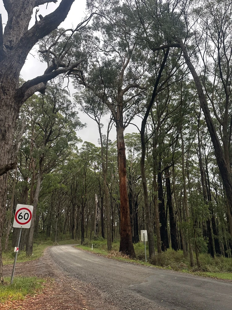 Image uploaded by Danish