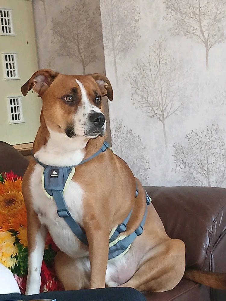 GIF uploaded by Vicky