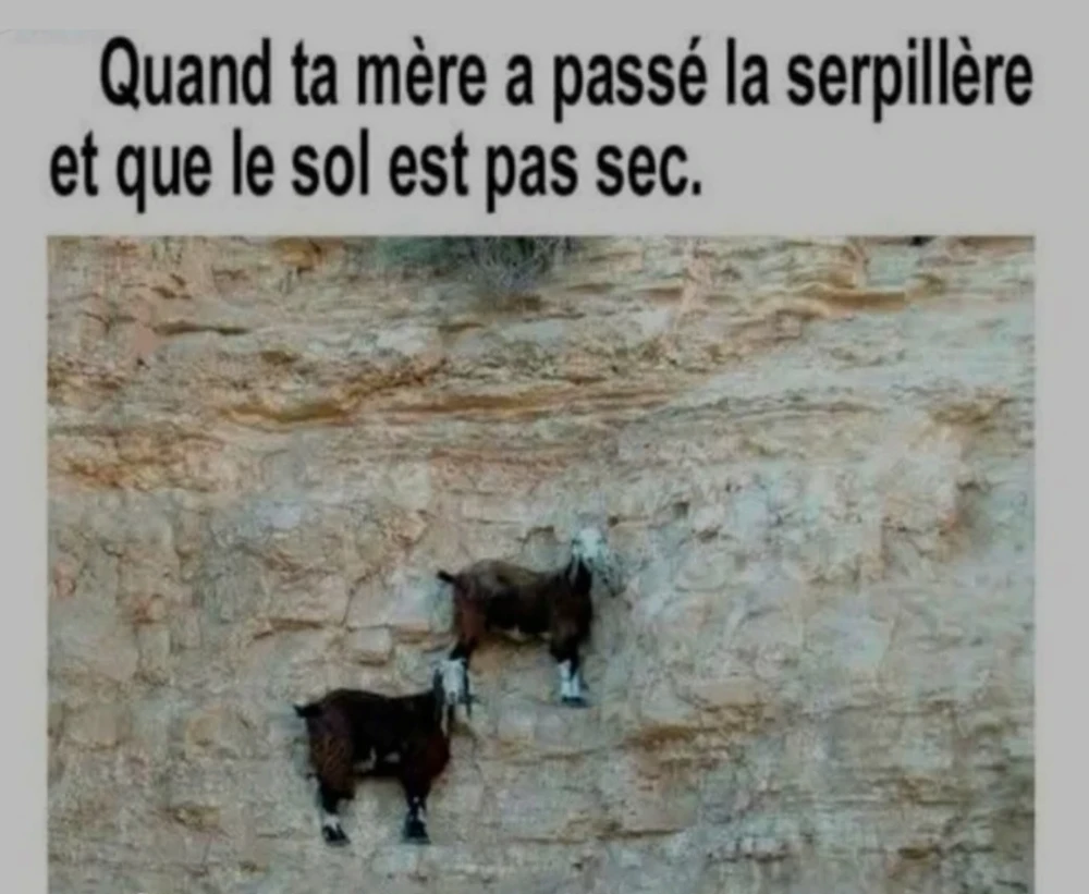 GIF ajouté par Mu 🌿