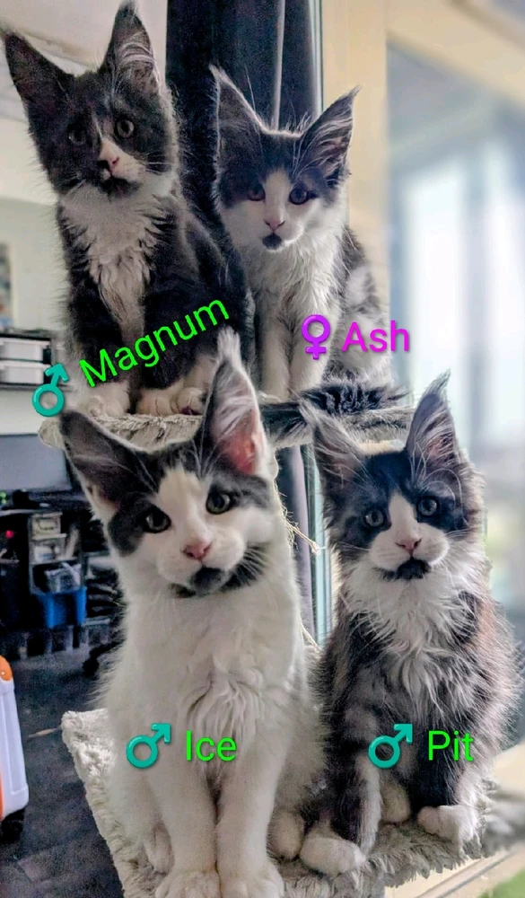 GIF uploaded by Michel