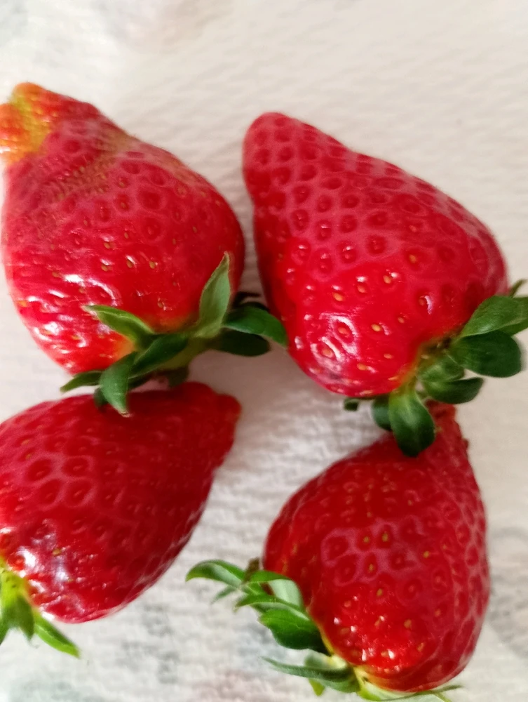 GIF caricata da Christian