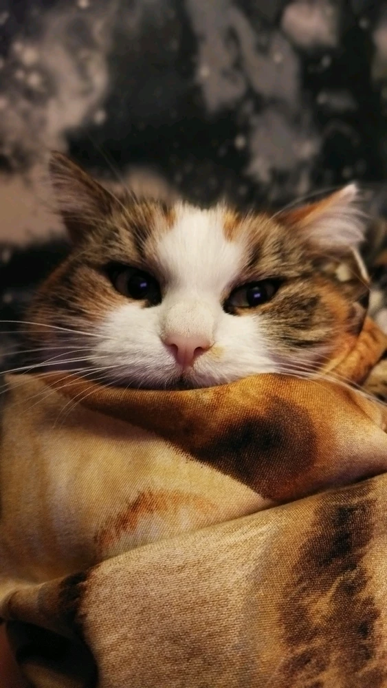 GIF uploaded by Raimonds