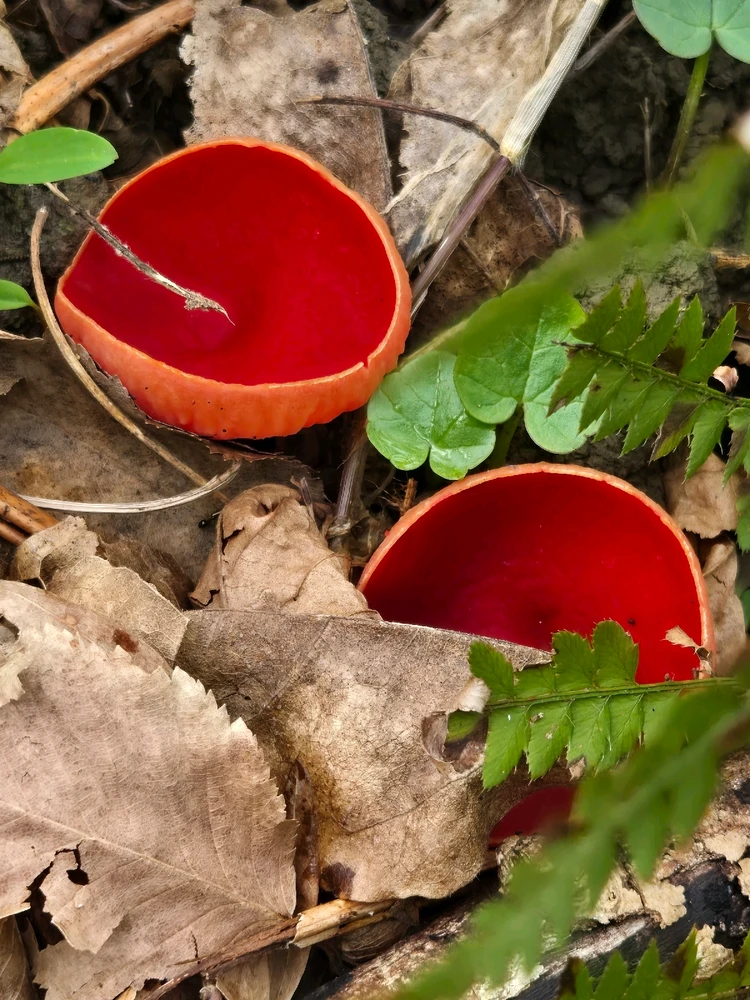 Image uploaded by Maria