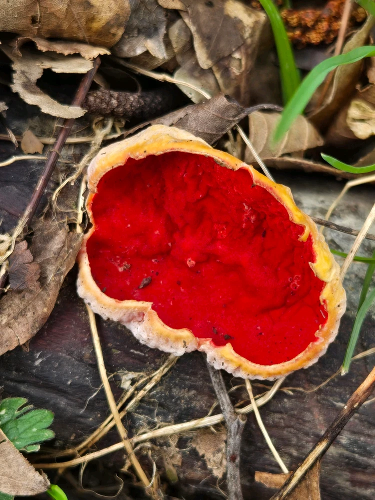 Image uploaded by Maria