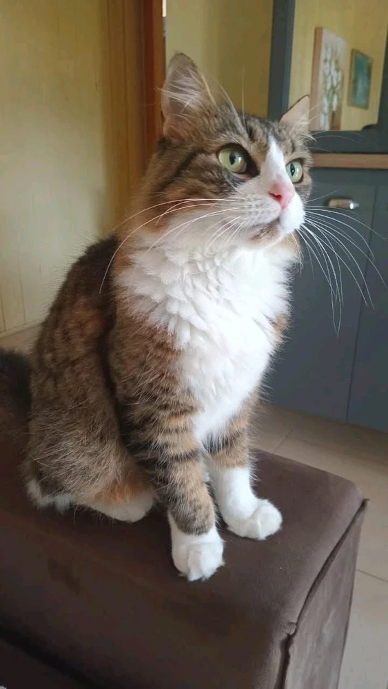 GIF enviado por Roger