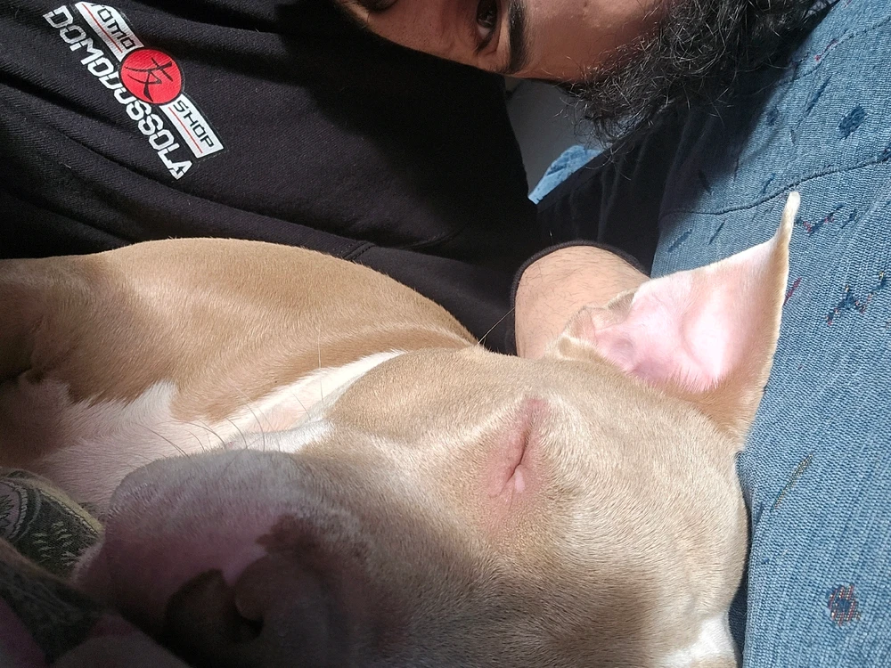 Immagine caricata da Luca