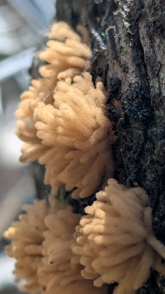 GIF uploaded by Chris