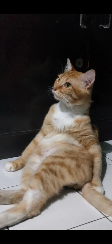 GIF uploaded by Fyra