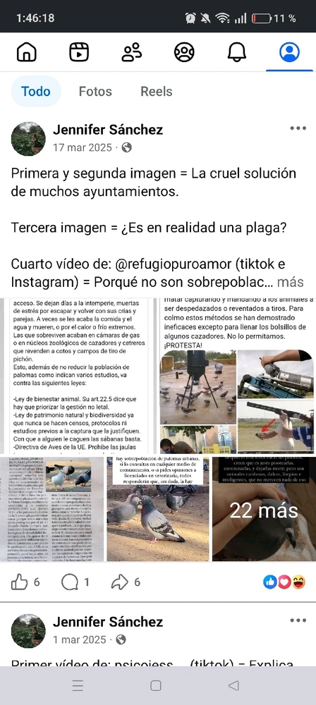 Imagen subida por Michi