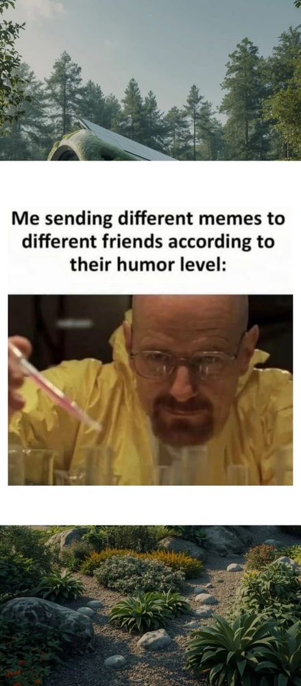 GIF uploaded by Allison