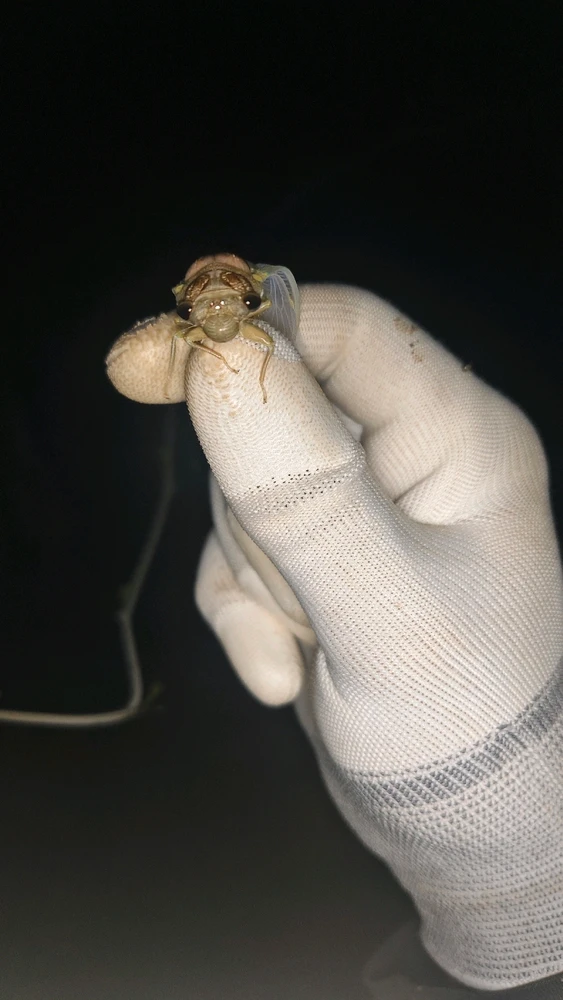 GIF อัปโหลดโดย น็อต