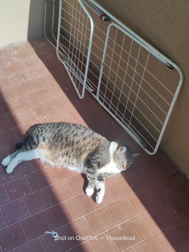 GIF caricata da Jonathan