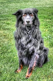 GIF uploaded by BearDadda