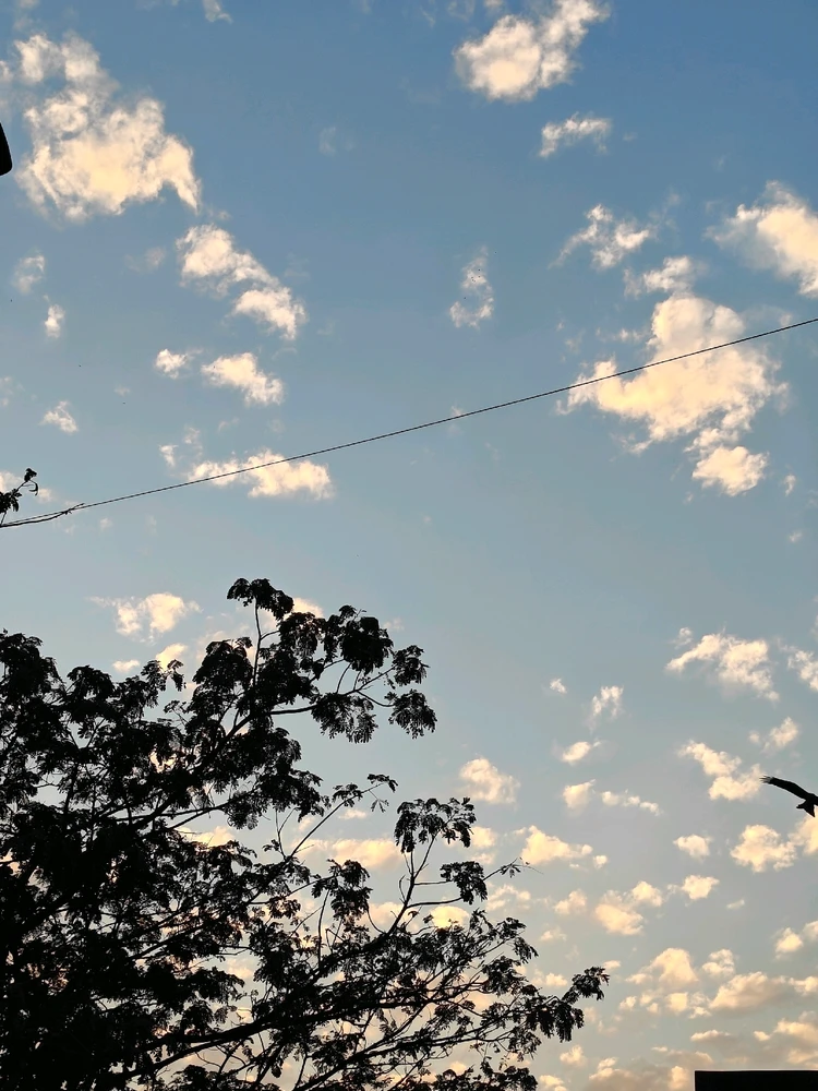 GIF uploaded by Armaan