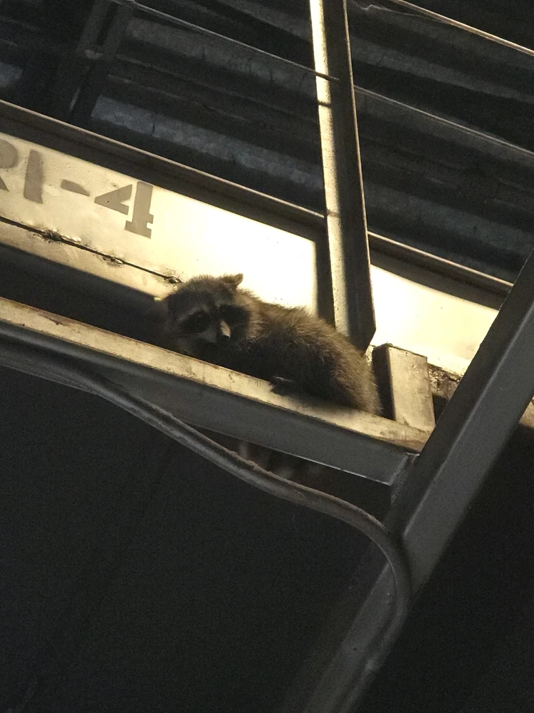 Image uploaded by StinkyCheese